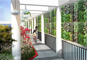 深圳龙华新区立体绿化工程设计(评标第一名)